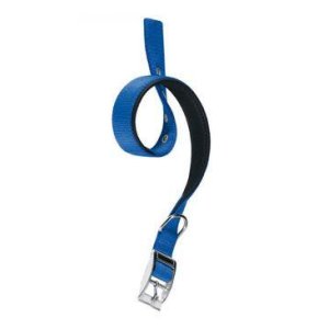 Obojok nylon DAYTONA C 53cmx25mm modrý FP 1ks