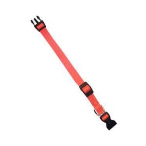 Obojok nylon CLUB C 32cmx10mm oranžový FP 1ks