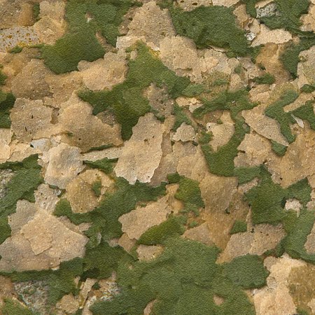 Sera Vipan Nature VV 10 l/2 kg