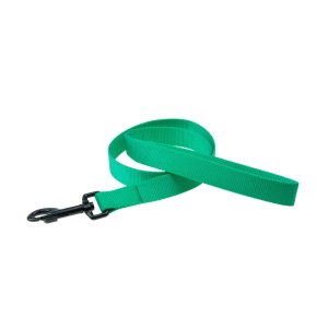 Karlie Vodítko ASP zelené veľkosť XS 100cm x 10mm