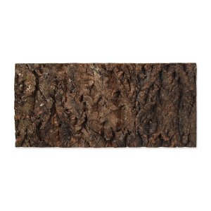 Pozadie REPTI PLANET korok prírodný 48,8 x 22,7 x 2 cm