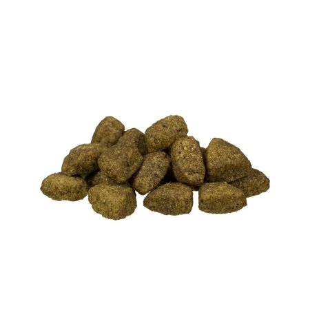 Bosch Adult Lamb & Rice 15 kg (EXPIRÁCIA 12/2026)