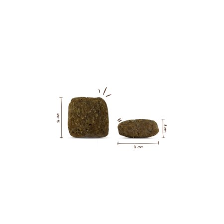 Bosch Adult Poultry & Millet 15 kg (EXPIRÁCIA 24/10/2026)