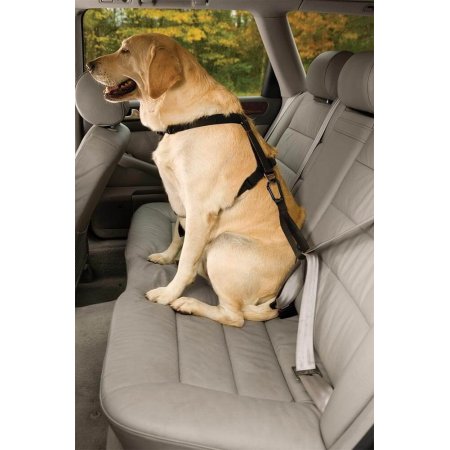 Bezpečnostný autopás pre psa s ouškom Kurgo Seatbelt Tether