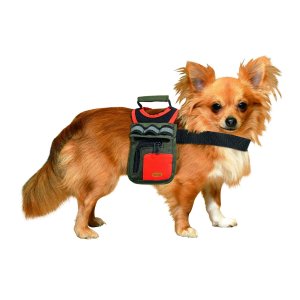 Karlie Batoh pre psov zeleno-oranžový reflexný veľ. M