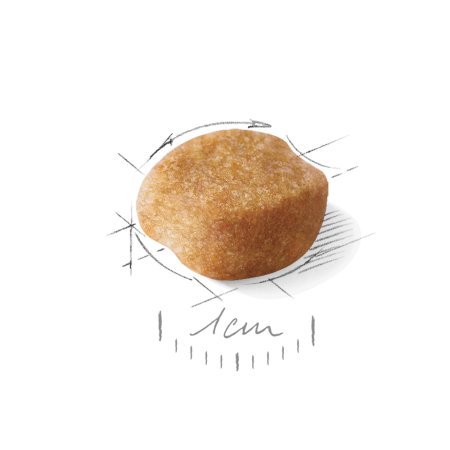 Royal Canin Yorkshire Adult 8+ 1,5 kg