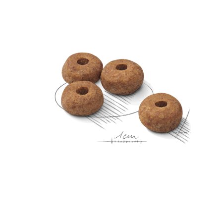 Royal Canin Medium Sterilised Adult 12 kg