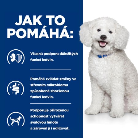Hill’s Prescription Diet k/d Early Stage Starostlivosť o obličky granule pre psov 12 kg