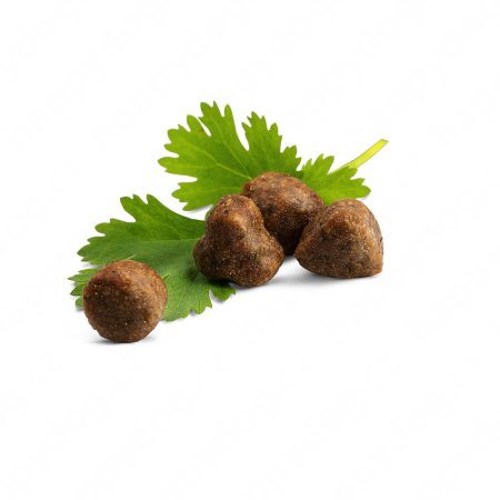 Happy Cat Indoor Atlantik-Lachs / Losos 1,3 kg