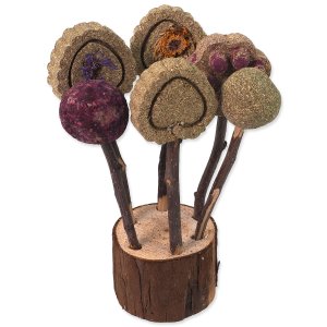 Hračka SMALL ANIMALS okusovacie lízanky