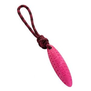 Hračka pes ZEPPELIN MINI plávať. z TPR peny, ružová KW