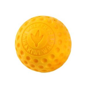 Hračka pes BALL MINI plávať. z TPR peny, oranžová KW