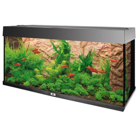 Pozadie akváriové Stone Clay (ODRENÉ)