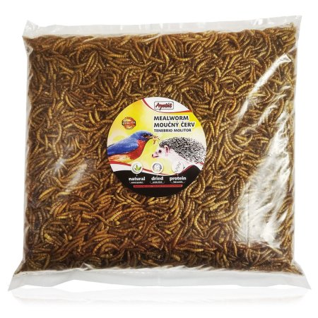 Apetít - MEALWORM 500g