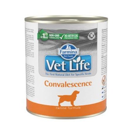 Vet Life Natural Dog konz. Convalescencia 300g