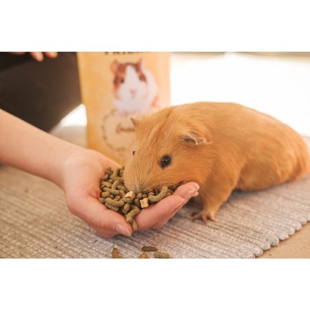 Fitmin For Friends kompletné krmivo pre morčatá 450 g