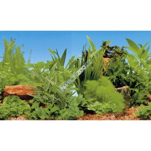 Blu 9049 piante/piante 100x50 (POŠKODENÝ OBAL)