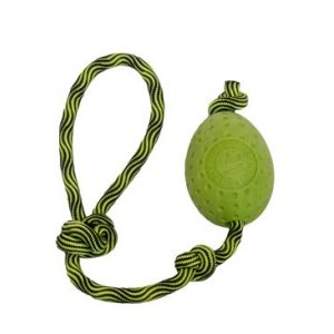 Hračka pes EGG MAXI plávať. z TPR zelená Kiwi