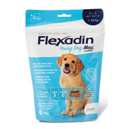 Flexadin 4Life Young Dog Maxi žuvací 60tbl