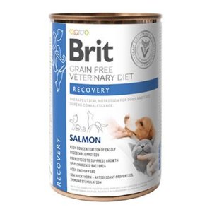 Brit VD Dog+Cat GF konz. Recovery 400g