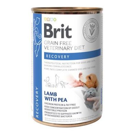 Brit VD Dog+Cat GF konz. Recovery 400g