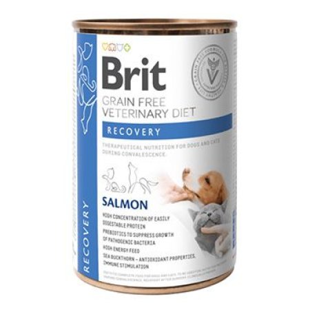 Brit VD Dog+Cat GF konz. Recovery 400g