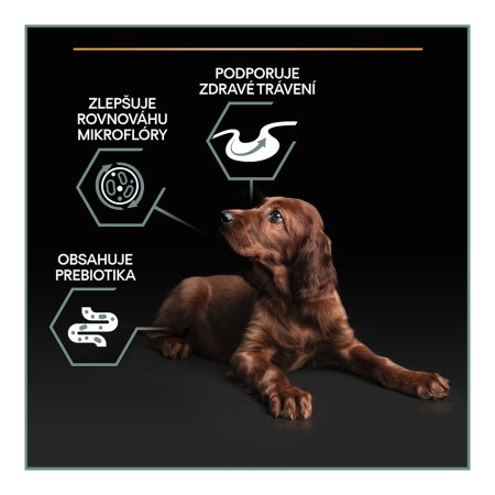 Pro Plan Large Puppy Athletic Optidigest jahňacie 12 kg