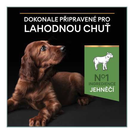 Pro Plan Large Puppy Athletic Optidigest jahňacie 12 kg