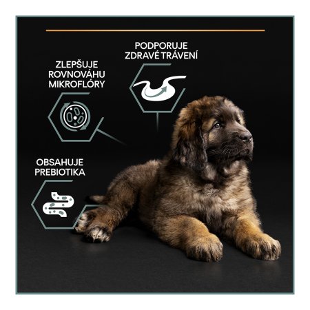 Pro Plan Large Puppy Robust Optidigest jahňacie 12 kg