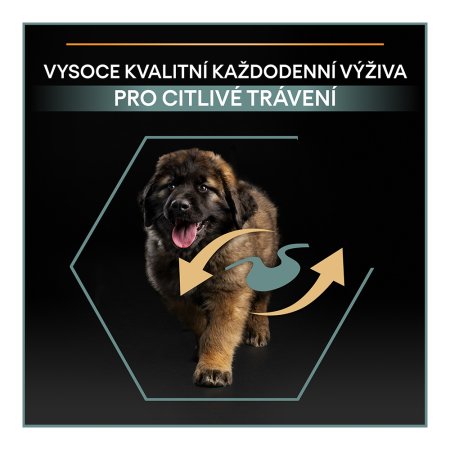 Pro Plan Large Puppy Robust Optidigest jahňacie 12 kg