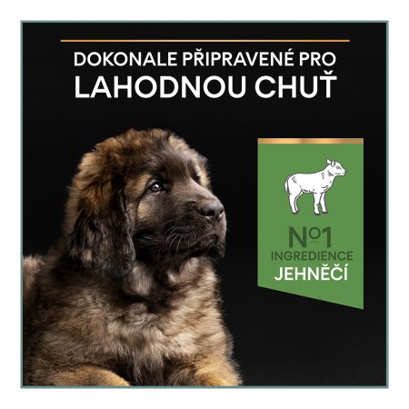 Pro Plan Large Puppy Robust Optidigest jahňacie 12 kg