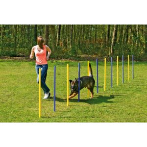 Karlie Agility slalom žltá/čierna 12x100cm