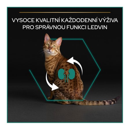 Pro Plan Cat Adult kura 10 kg