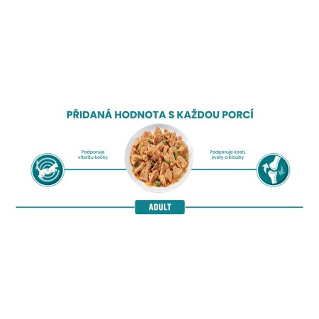 Purina One Adult minifiletky s jahňacím / morskými rybami / kuraťom / hovädzím a zeleninou v šťave Multipack 40 x 85 g