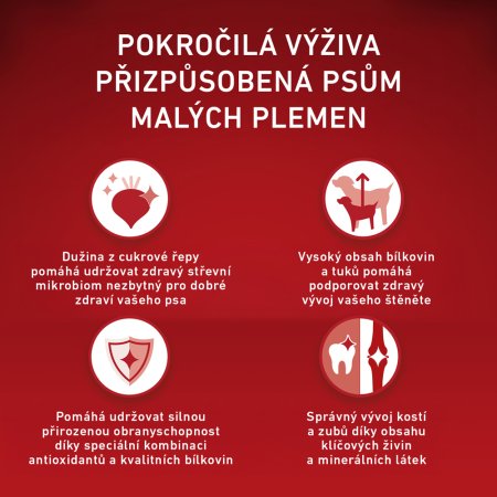 Purina One Mini Junior Dog kura s ryžou 800 g