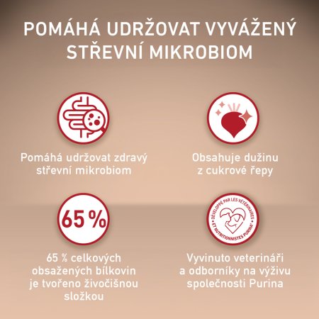 Purina One Mini Junior Dog kura s ryžou 800 g