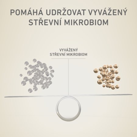 Purina One Mini Weight Control Dog morčacie s ryžou 800 g