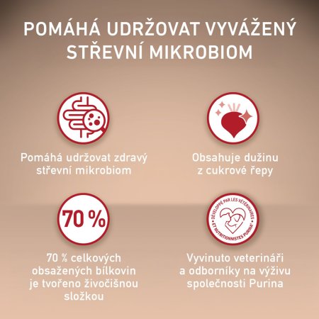 Purina One Mini Active Dog kura s ryžou 800 g