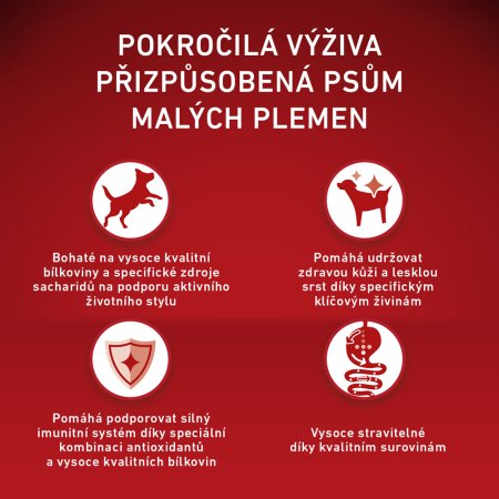 Purina One Mini Active Dog kura s ryžou 800 g