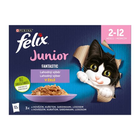 Felix Fantastic Junior hovädzie / kurča / sardinky / losos v želé Multipack 12 x 85 g
