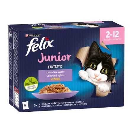 Felix Fantastic Junior hovädzie / kurča / sardinky / losos v želé Multipack 12 x 85 g