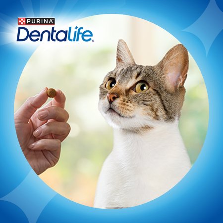 Dentalife Cat losos 40 g
