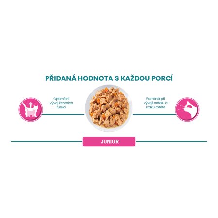 Purina One Junior Mini filetky s lososom a mrkvou v šťave 26 x 85 g