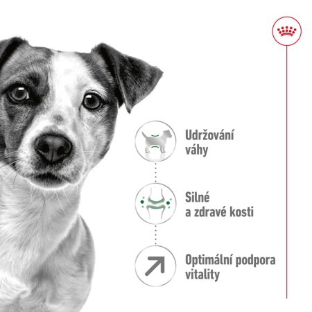 Royal Canin Mini Adult 8+ 8 kg
