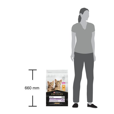 Pro Plan Cat Kitten kurá 10 kg