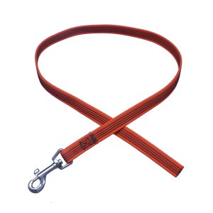 PROFIZOO Vodítko pochúťka pogumované strieborná karabína (15 mm x 80 cm) oranžová
