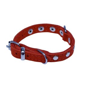 PROFIZOO Obojok SUNNY zdobený nitmi (10mm x 26cm; O 10mm x 18-23cm) červená