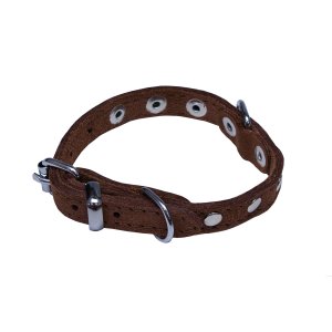 PROFIZOO Obojok SUNNY zdobený nitmi (10mm x 26cm; O 10mm x 18-23cm) hnedá