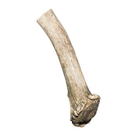 Pochúťka Dančie parožie 140-170g