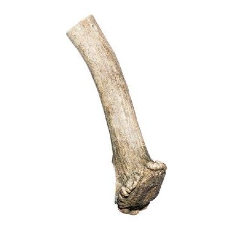 Pochúťka Dančie parožie 100-140g